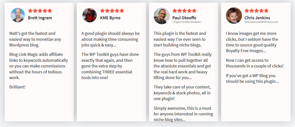 BlogNiche Tool Plugin reviews